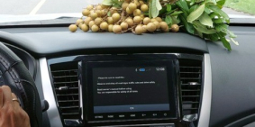 lô đất mặt tiền đường nhựa Bình Châu suối chảy róc rách quanh năm