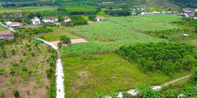 Hàng Hiếm Đất Biệt Thự Diên Thọ Gần Tỉnh Lộ 2 - Giáp Sông Cái Mát Mẻ