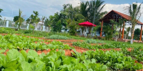 *ĐẤT VƯỜN ĐẦU TƯ TẠI ĐỒNG NAI * GIÁ 800TR/1000M2