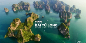 Biệt thự biển tiêu chuẩn 5 sao Whynham quản lý chỉ duy nhất 120 căn có bể bơi