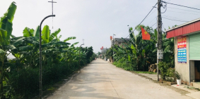 Chính chủ bán 2 lô Đấu Giá Mang Hạ, Yên Nam, Duy Tiên, Hà Nam