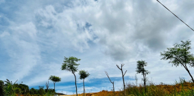 Nam Hà giá chỉ từ 2tr/m2, sát suối, view đồi thông. QH full thổ. Betong 5m đẹp.