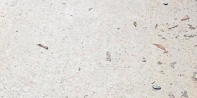 HÀNG HIẾM SIÊU PHẨM tại tpd Bồn Phổ - P.Hương An - tp Huế