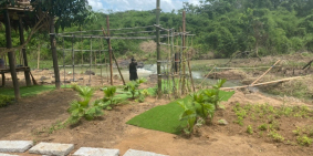 Bán nhanh lô đất đường nhựa gần SNN Bình Châu mặt tiền 29m giá chưa tới 2tr/m2