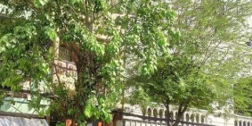 MẶT TIỀN SIÊU VIP QUẬN 8 - 5 TẦNG - CẠNH NGAY SIÊU THỊ COOPMART