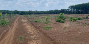 bán dất sào đồng xoài giá đầu tư.dt 1000m2 ngang 10 sâu 100 đường 16m