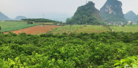 Bán lô đất 1996m2 có 400m thổ cư giá chỉ 1 tỷ 9 ơt Cao Phong Hoà Bình