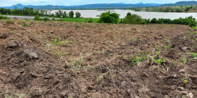 Bán 13 Ha Đất View Hồ Cực Đẹp- Chỉ Còn Lại 1 Lô Duy Nhất Cho Khách Đầu Tư