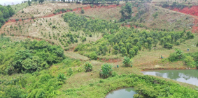 ĐẤT VƯỜN ĐĂK NÔNG SỔ HỒNG RIÊNG