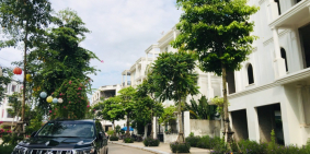 Cần bán nhanh lô đất LK16A - KĐT Bách Việt giá rẻ cho nhà đầu tư , ở cũng hợp lý