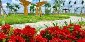 Sản phẩm độc quyền- Ngay trung hành chính Bàu Bàng - Sẵn Sàng trao Sổ