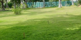 BÁN ĐẤT BIỂN BÃI RẠNG - PHÚ YÊN