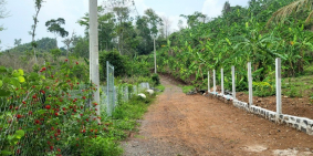 Chính chủ cần bán mảnh đất xinh như mộng dưới chân núi Tiên