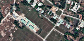 Tôi chính chủ cần bán gấp lô đất trồng cây lâu năm đường lò lu , p.trường thạnh