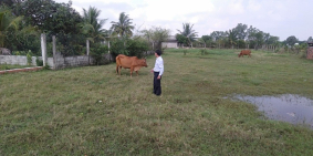 Chính chủ gứi bán lô đất 5x35 full thổ nằm mặt tiền N2 vào 500m,