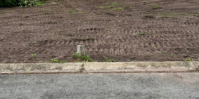 Bán Đất Tại Khu Tái Định Cư Long Phước