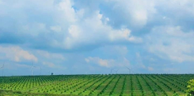 Đất nền Gia Lai, View Hồ , điện gió