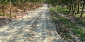 Chính chủ cần bán đất Long Tân Dầu Tiếng