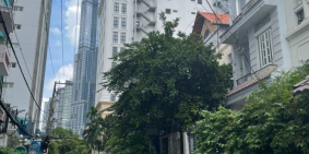 (4.2*20) 4TẦNG - HẺM 8M THÔNG, ĐIỆN BIÊN PHỦ - P25 - BÌNH THẠNH. 20.5 TỶ.