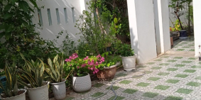 Nhà 2 tầng sân vườn lưng sông Hòa Xuân thoáng mát.