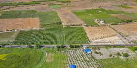 Tôi chính chủ muốn bán đât 2.5ha ở Bình Tân