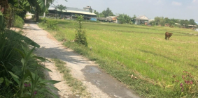 Đất cần bán gấp dt171m2 shr đất full thổ cư ngay đức hoà long an Giá 1 ty150