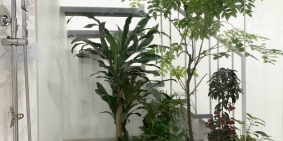 Tuyển 5Trưởng phòng, 10 Đầu chủ Bất động sản thổ cư Hà Nội