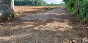 Làm ăn thất bại bạn em nhờ bán dùm trả nợ tại khu vực Long Phước - Bà Rịa