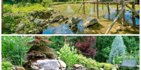 Mảnh đất được mẹ thiên nhiên ban tặng có suối chảy trong đất 4922m tại Hoà Bình