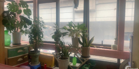 Mặt phố Hoàng Cầu – Đống Đa có 1 không 2 chỉ 8,6 tỷ