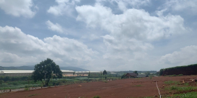 ĐÀ LẠT PEARL - ĐẤT NỀN NGHỈ DƯỠNG LÝ TƯỞNG, ĐẦU TƯ SINH LỜI