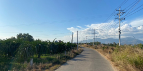 BÊN HUY CÒN 1,8 HA XUÂN ĐIỀN - HÀM HIỆP - ĐƯỜNG BÊ TÔNG - CÁCH PT 9KM - ĐẤT CLN