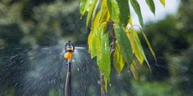 Bán đất 3 mặt tiền đường trồng cà phê và sầu riêng chỉ (1ty3/1ha) tại ĐakLak