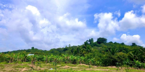 Chính chủ bán đất cách QL20 và Trung Tâm Thị Trấn Định Quán 1,5km