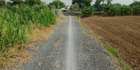 Chính Chủ Cần Ra Lô Đất Vườn Quy Hoạch KDC Mới Hưng Long Bình Chánh SHR