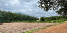 Hàng hot 7 nền đất sổ hồng ngay Hồ Dầu Tiếng DMC Tây Ninh chỉ 630tr