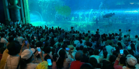 Chỉ từ 900 triệu sở hữu ngay căn hộ nghỉ dưỡng, cam kết LN 25 - 30tr/tháng