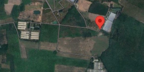 Ông anh gửi bán 2 lô đất sào 2028m2 ở chơn thành, cách đường DT 756B 2km