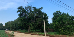 Đất dân có 100 thổ cư, 100% đất ở, dân cư đông đúc, đường hiện hữu