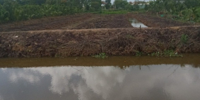 đất nông nghiệp mặt tiền đường huyện 42 nhựa