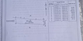 Bán đất gần 1 mẫu đất ở Bình Thuận, sổ sẵn, đường thê hiện trên sổ.