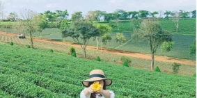 Đất nền Lộc Châu, Bảo Lộc- Khu biệt thự nghĩ dưỡng Thanh niên Riverside Hill