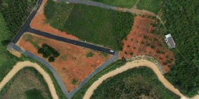 Đất nền trung tâm Bảo Lộc, view đẹp, sẵn thổ cư