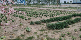 Dự án Green Park Kim Đính - Đất nền trung tâm Kim Thành, Hải Dương