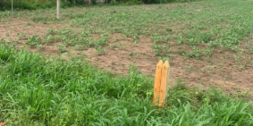 CHÍNH CHỦ CẦN BÁN LÔ ĐẤT Ở SUỐI ĐÁ DƯƠNG MINH CHÂU – CHỈ VỚI 700TR/135m2.