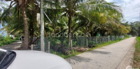 Bán 8.052m2 đất lúa xã Bình Ninh, Chợ Gạo, Tiền Giang