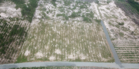 Bán đất 2 mặt tiền ngay hông Becamex Sơn Mỹ, chỉ 150m. 103x72m,