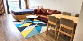 Cho thuê căn hộ cao cấp The City Light , Khai Quang , Vĩnh Yên Lh 0855823833