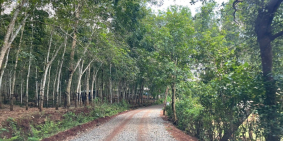 Chủ ngộp bán gấp 5x30 full thổ cư giá 379trieu