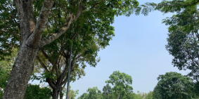 Không thể bỏ lỡ đất KDC T30 Phạm hùng, Bình chánh. Giá 1,9tỷ/80m2, sổ riêng